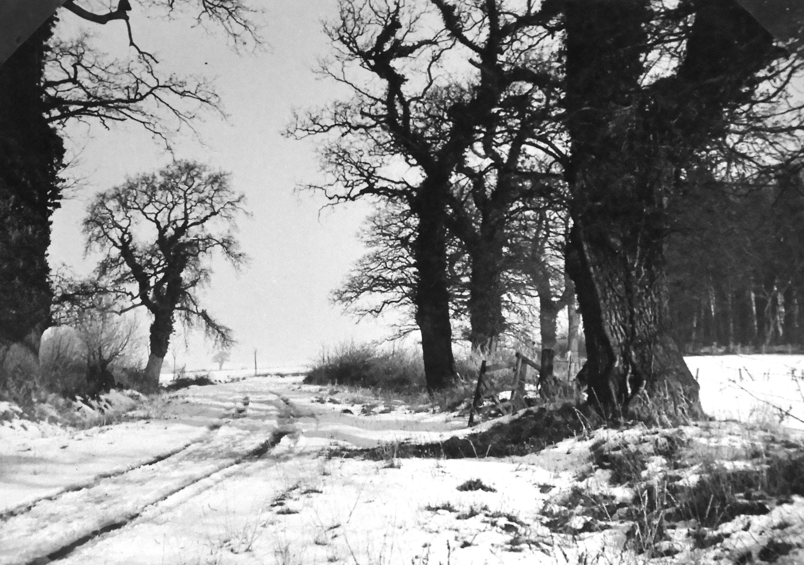 Schüttbrehm Weg-min Schüttbrehm Weg-min